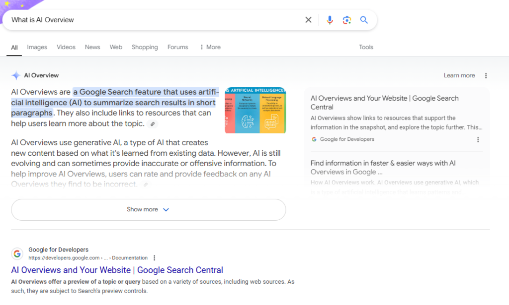 ai overview